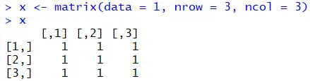 How to Create an All-Ones Matrix in R