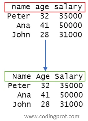 Capitalize First Letter of Column Name in R